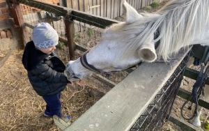 Wycieczka do Zagrody Edukacyjnej ,,Zakątek Bliżej Ziemi" – „Pszczółki” (17)