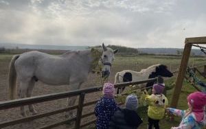 Wycieczka do Zagrody Edukacyjnej ,,Zakątek Bliżej Ziemi" – „Pszczółki” (7)